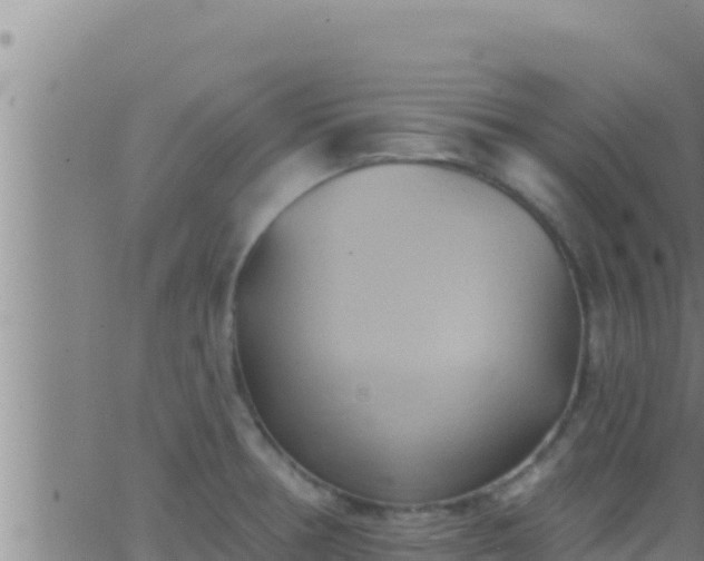 X0000062911378200601201925