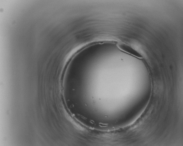 X0000062911380200601201925