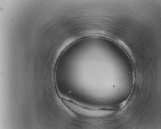 X0000062911384200601201925