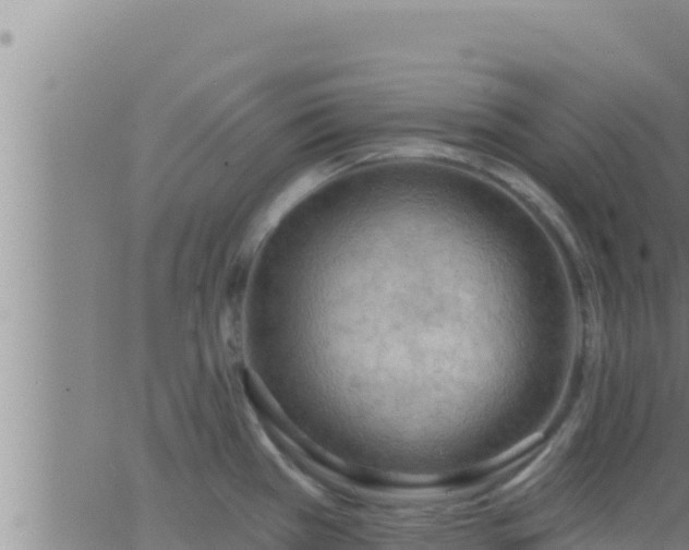 X0000062911385200601201925