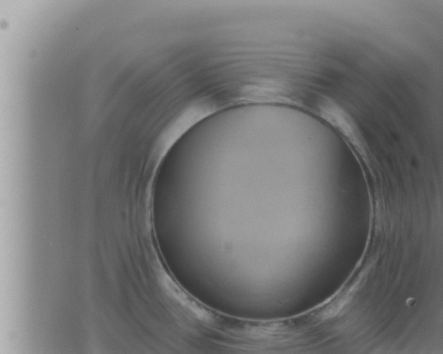 X0000062911386200601201925