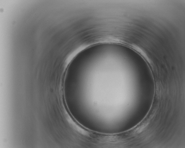 X0000062911387200601201925