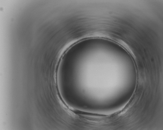 X0000062911388200601201925