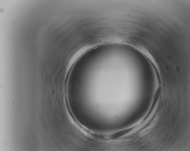 X0000062911389200601201925