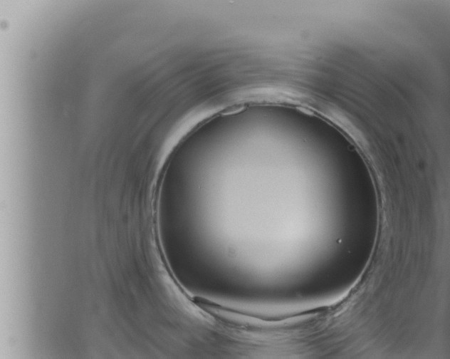 X0000062911392200601201925