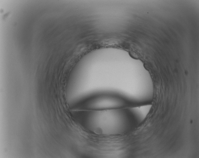 X0000062911393200601201924