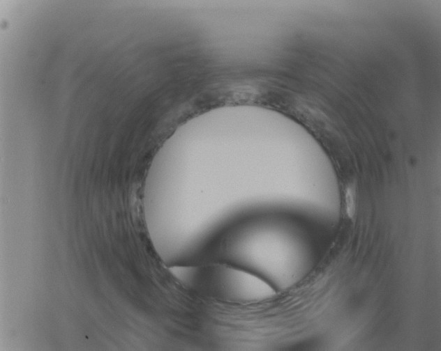 X0000062911395200601201924