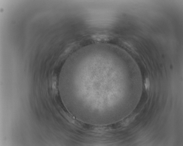 X0000062911396200601201924