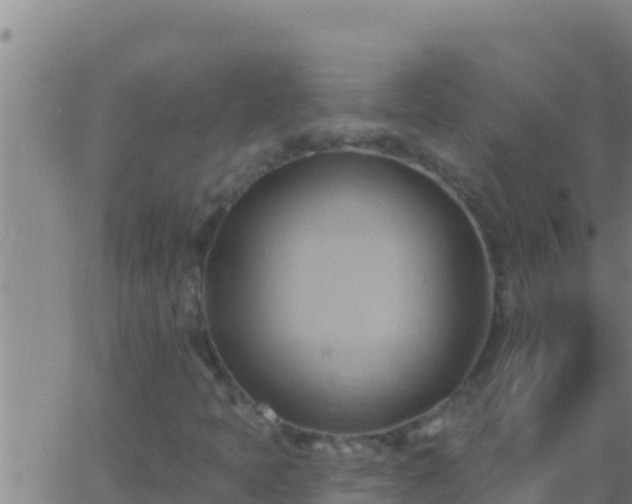 X0000062911397200601201924