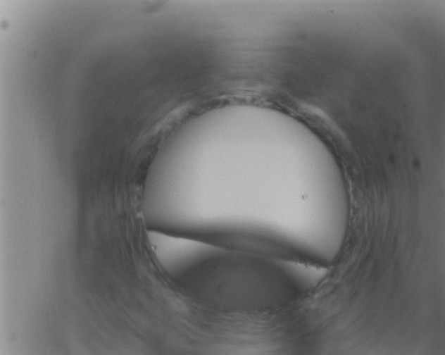 X0000062911399200601201924