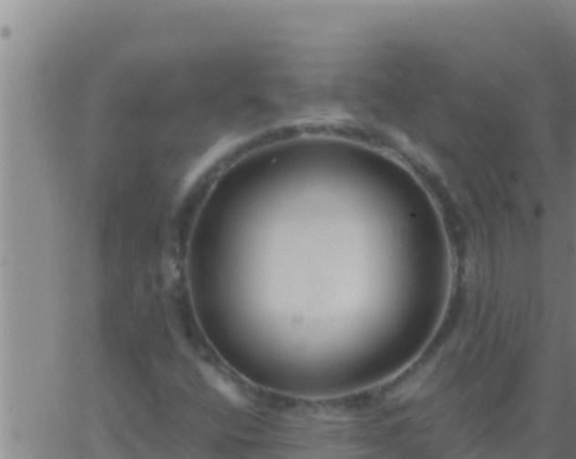 X0000062911400200601201924