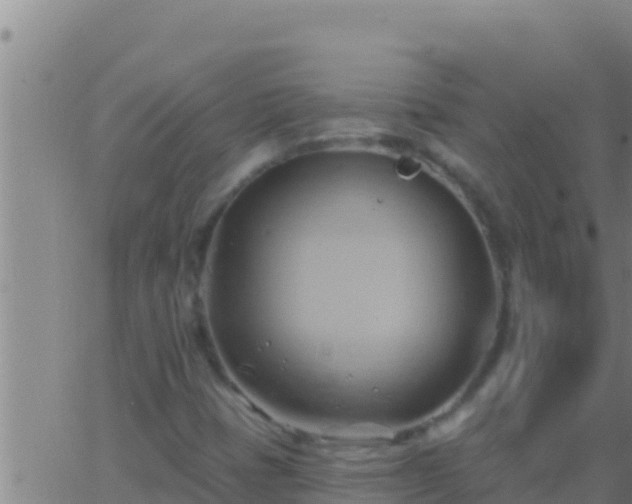 X0000062911401200601201924