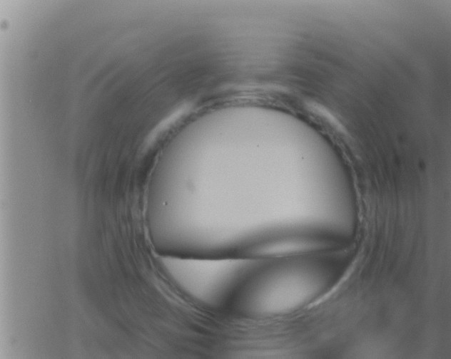 X0000062911403200601201924