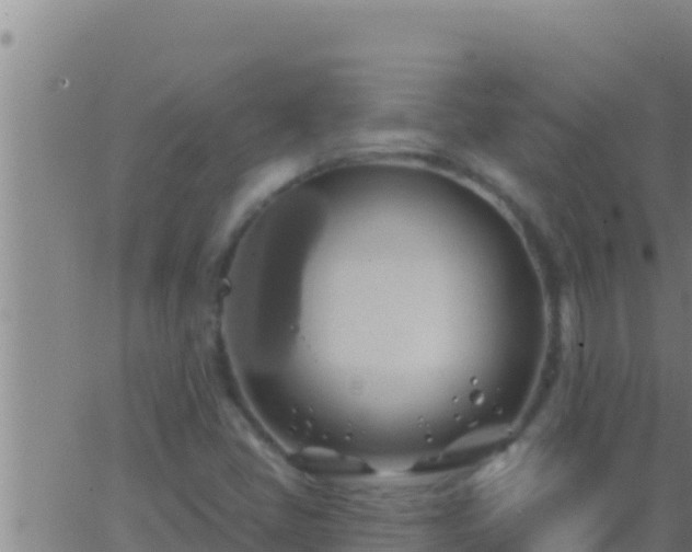 X0000062911405200601201924