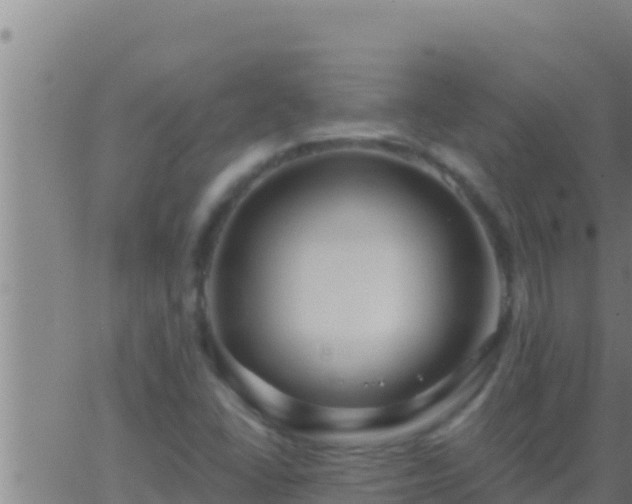 X0000062911406200601201924