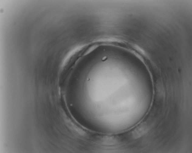 X0000062911408200601201925