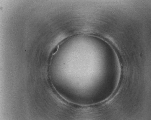 X0000062911410200601201925