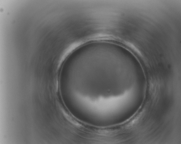 X0000062911413200601201925