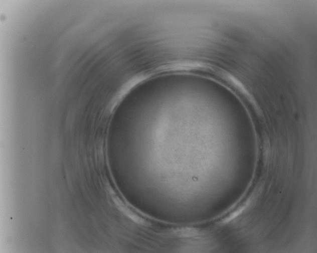 X0000062911417200601201925