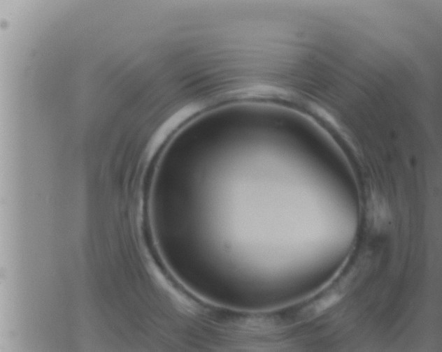 X0000062911418200601201925