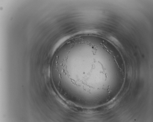 X0000062911420200601201925