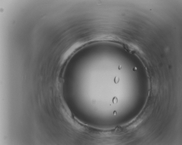 X0000062911422200601201925