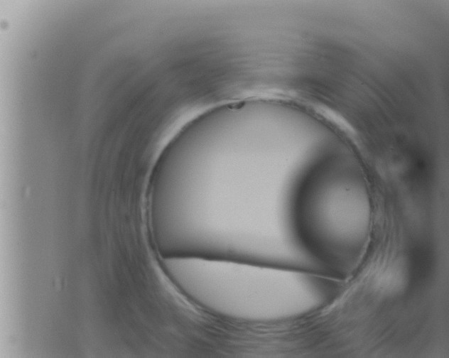 X0000062911423200601201925