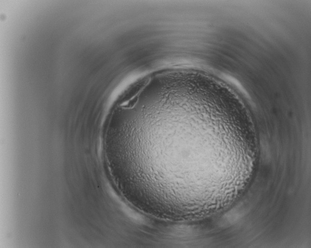 X0000062911424200601201925