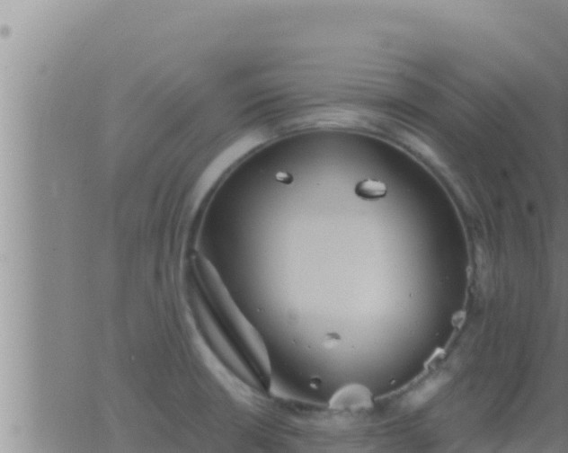 X0000062911426200601201925