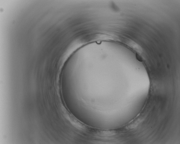 X0000062911427200601201925