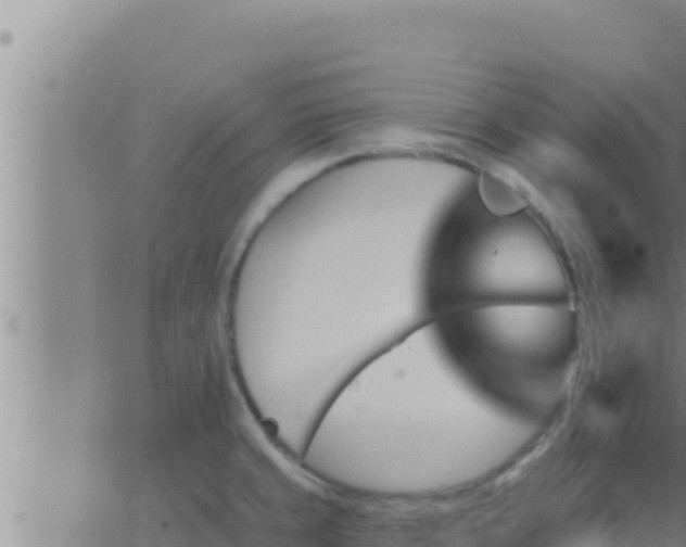 X0000062911429200601201925