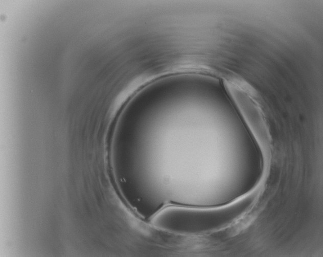 X0000062911430200601201925