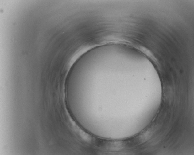 X0000062911431200601201925