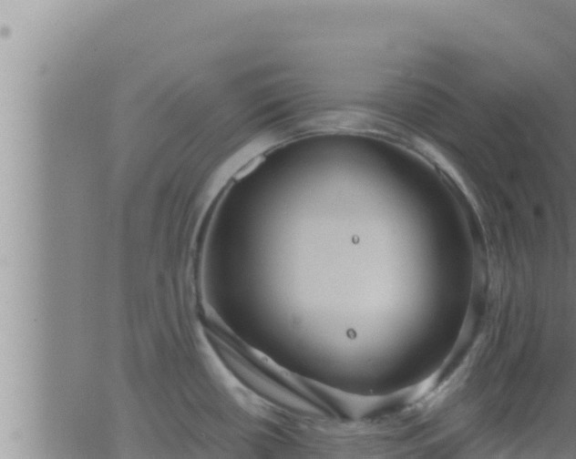 X0000062911434200601201925