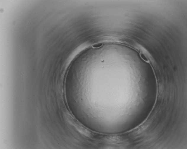 X0000062911435200601201925