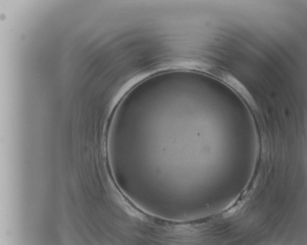 X0000062911436200601201925