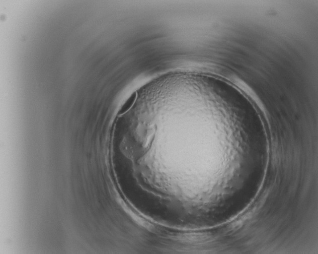 X0000062911437200601201925