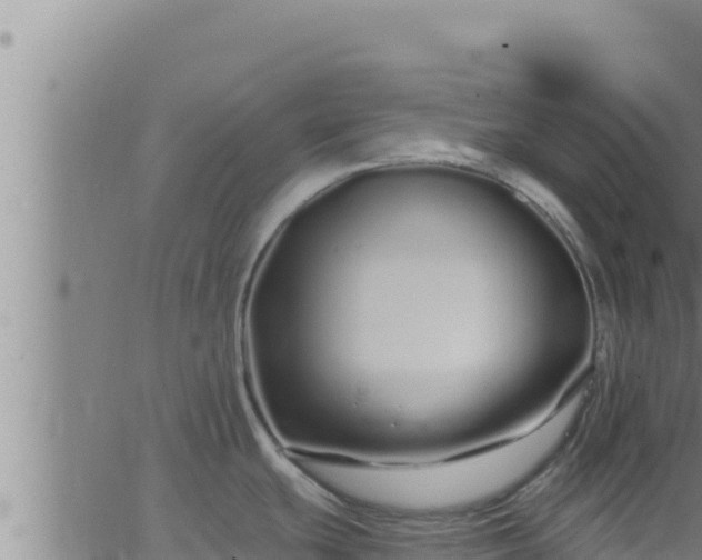 X0000062911439200601201925