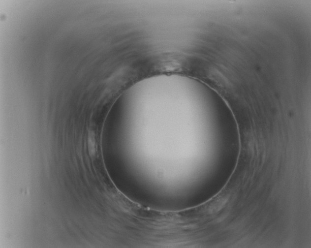 X0000062911442200601201924