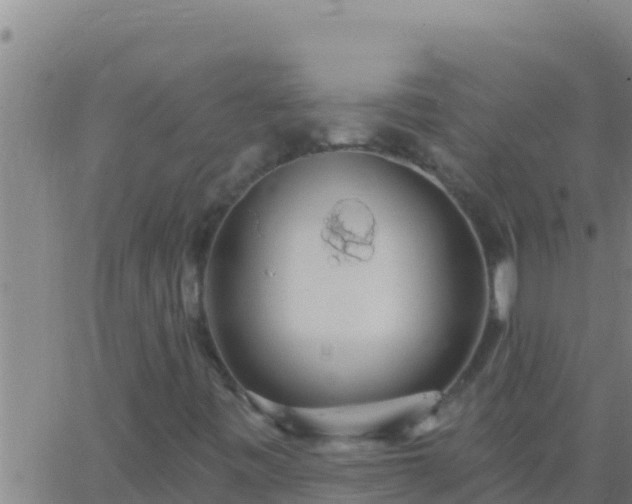 X0000062911443200601201924