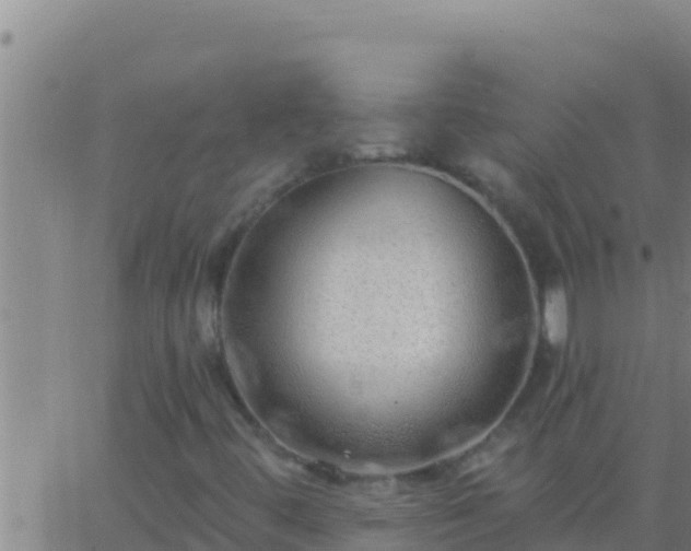 X0000062911444200601201924