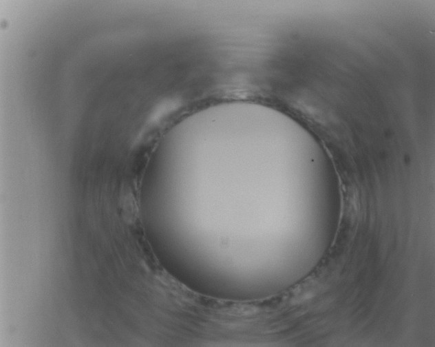 X0000062911446200601201924