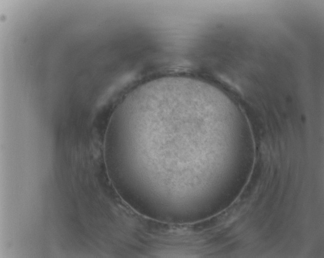 X0000062911447200601201924