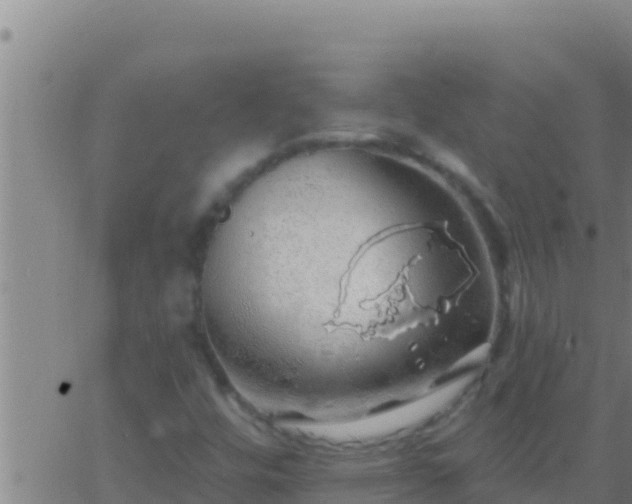 X0000062911448200601201924