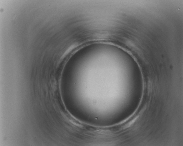 X0000062911449200601201924