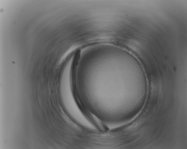 X0000062911450200601201924