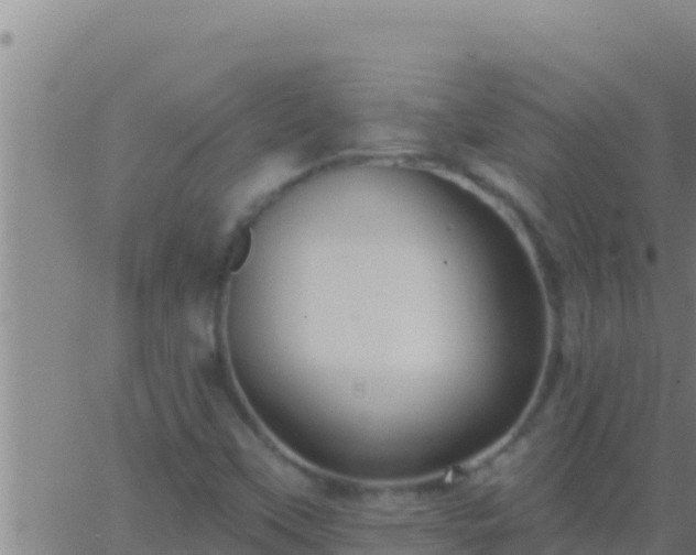 X0000062911451200601201924