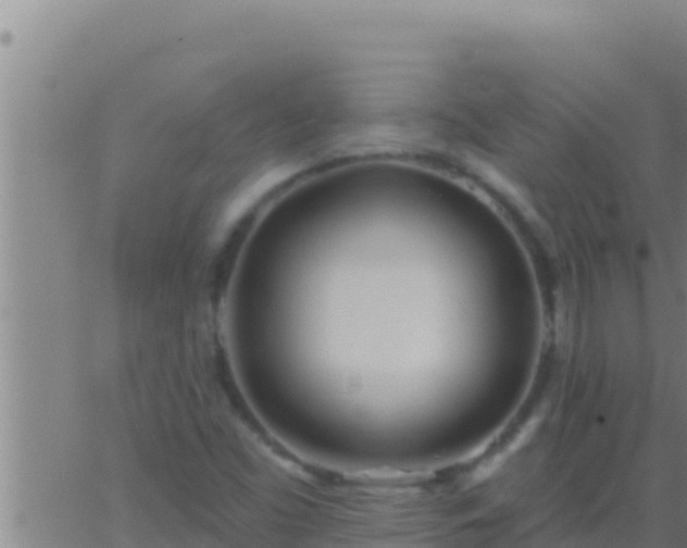 X0000062911453200601201924