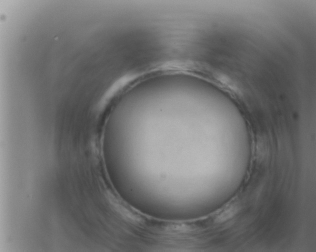 X0000062911454200601201924