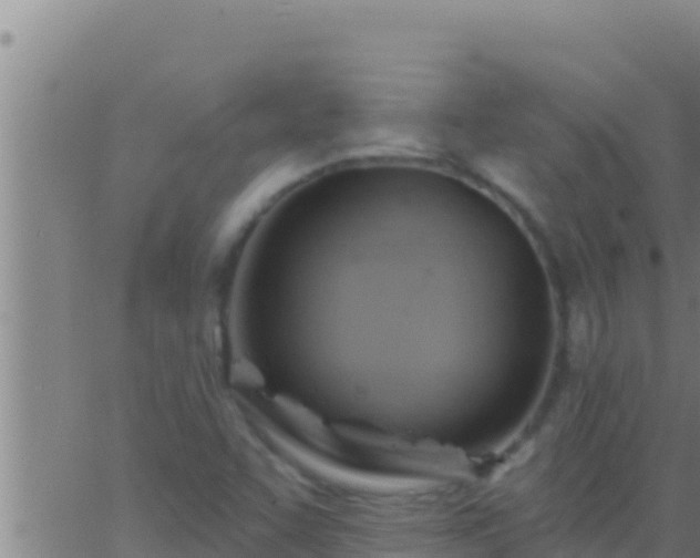 X0000062911455200601201924